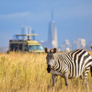 Half Day Game Drive Nairobi National Park